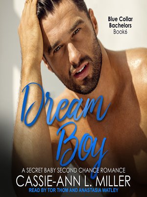 cover image of Dream Boy